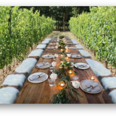 Званый ужин в "Григорьевских садах" - Агротуризм в Григорьевских садах