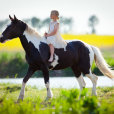 Конная прогулка верхом - Агротуризм в Григорьевских садах