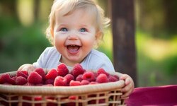 Малина в Григорьевских садах! - Агротуризм в Григорьевских садах